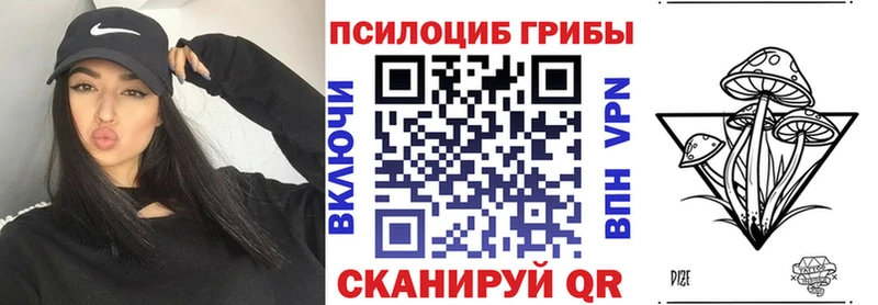 где найти   Грязи  Псилоцибиновые грибы GOLDEN TEACHER 