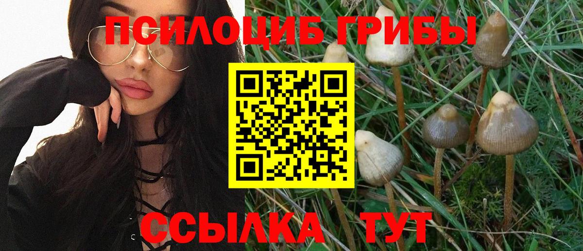 Галлюциногенные грибы Psilocybine cubensis  Вход с VPN  Грязи  Галлюциногенные грибы мухоморы 