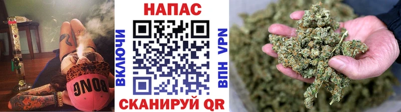 МАРИХУАНА сатива  Грязи 